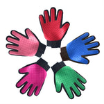 PawGlove — Il Segreto degli Animali con il Pelo sempre Perfetto