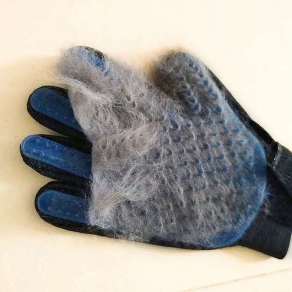 PawGlove — Il Segreto degli Animali con il Pelo sempre Perfetto